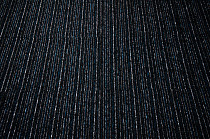 Bonkeel Party Line Blue Accent фото 5 | FLOORDEALER